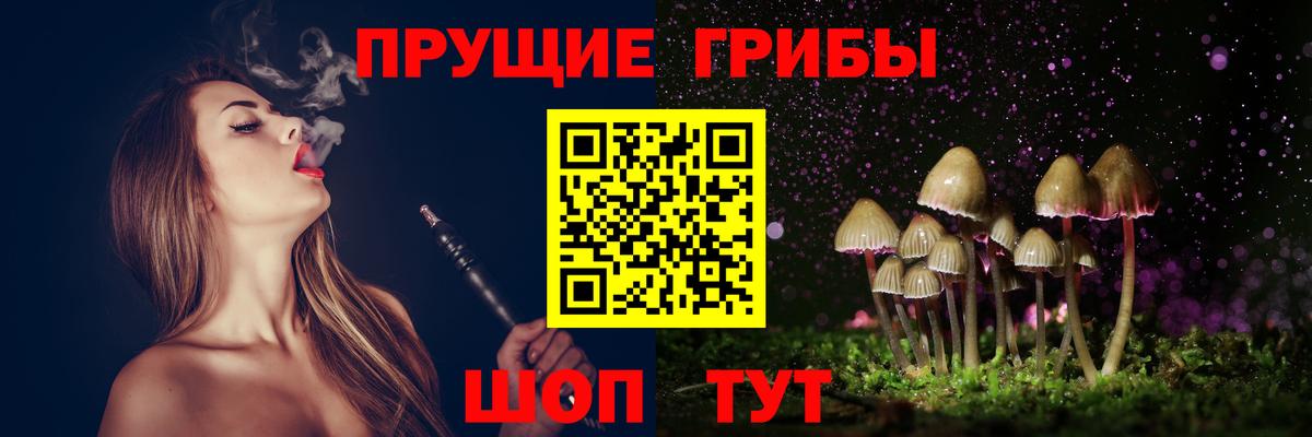 Галлюциногенные грибы прущие грибы Армавир